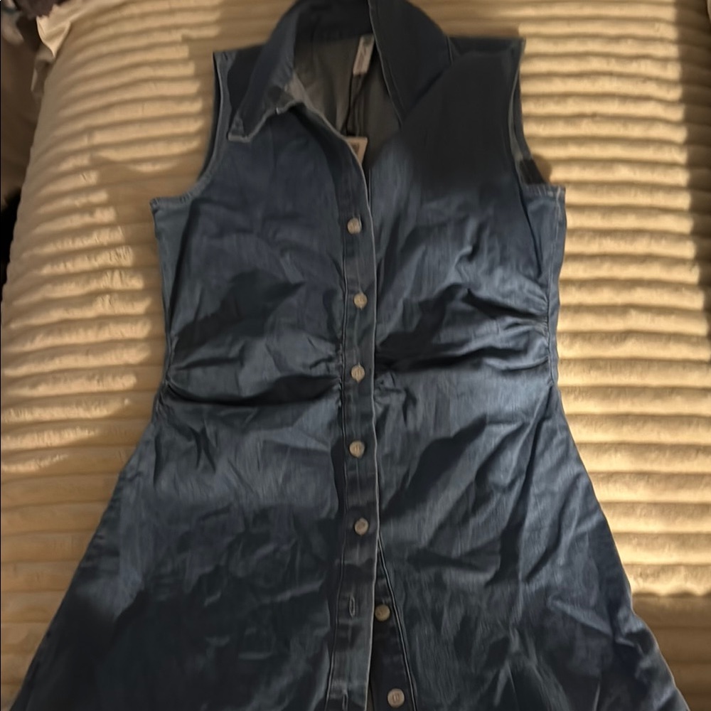 Sleeveless Denim Button-Up Dress